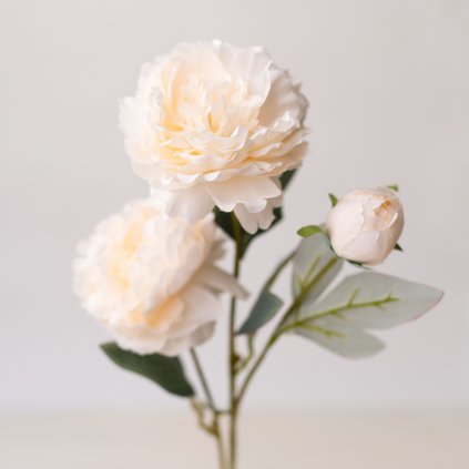 1d7e07b4 2bfe 4f46 b006 67652389e999