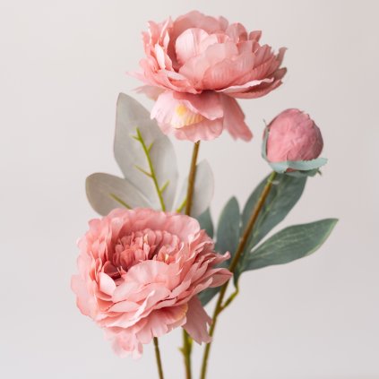 3a29c8e7 1705 46c8 acc6 d35ef14350bf