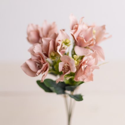 f20c15d7 fd69 427a 9866 6d4cd5b831c4