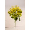 Hustá kytička bodliak Protea ŽLTÁ 30cm
