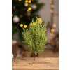 Hustý TUJKOVÝ stromček 26cm.