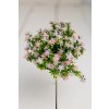 Hustý zväzok drobné kvietky RUŽOVÉ 30cm