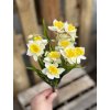 Kytička gumený narcis BIELO ŽLTÉ 37cm