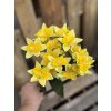 Kytička narcisky látkové ŽLTÉ 34cm
