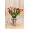Tulipány jemne poprášené MIX farba 27ks