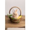 Plyšový zajko v košíku s mrkvičkou hnedý 9 cm