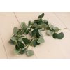 Ťahačka eukalyptus girlanda 120cm