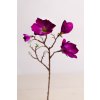 Konár Magnólia VIOLET 60cm