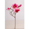 Konár Magnólia MAGENTA 60cm