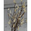 Konár Breza Vŕba  farebná 77 cm