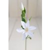 Klematis zápich BIELY 48cm
