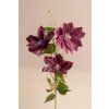 Vysoký gumený konár Klematis VIOLET 78cm