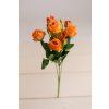 Šípová ruža ORANŽOVÁ 40cm