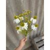 Kytica Echinacea BIELA 52cm