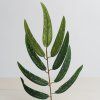 Konár listy vŕba ZELENÉ 55cm