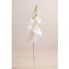 Zápich Gladiola BIELA 56cm