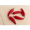 Chilly paprika 6cm 10ks