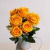 ada16958 57d2 4ff1 99ff 9021ca2627fe
