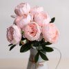 85c8782c dc5a 419a ab85 e323f8fc9989