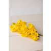 Orchidea Cymbidium ŽLTÁ 74cm
