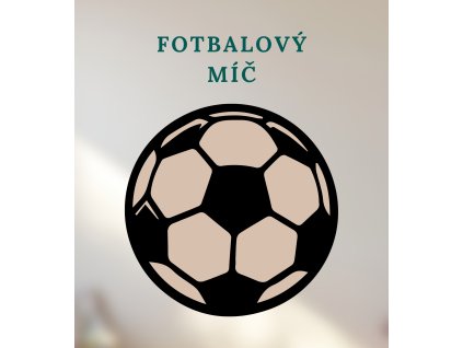 Fotbalový míč
