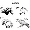 Koně 29 30 setrici kasička 05