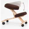 flonet5