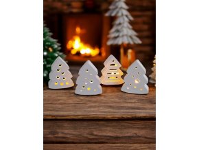 Photoroom 20241205 091406