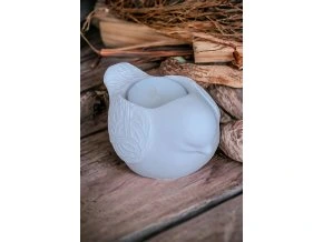 PhotoRoom 20240203 141234[1]