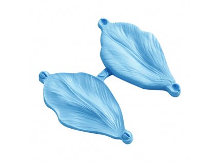 Forma do liści orchidei