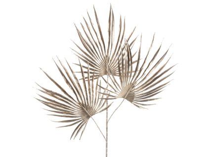 Dekorativní větvička 204A - šampaňská