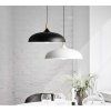 10930 12 stropna lampa anzo cierna