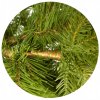 994371 4 szállításra kész mesterséges karácsonyfa csonkon 3D lucfenyő 220cm