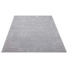 Koberec do obývačky FLAIR 177 sivý 6