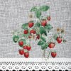 Kuchynská záclonka KSENIA zdobená jahodovou potlačou a čipkou 150 x 30 cm