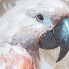 Ručne maľovaný obraz na plátne v bielom ráme 50x100 cm – biely