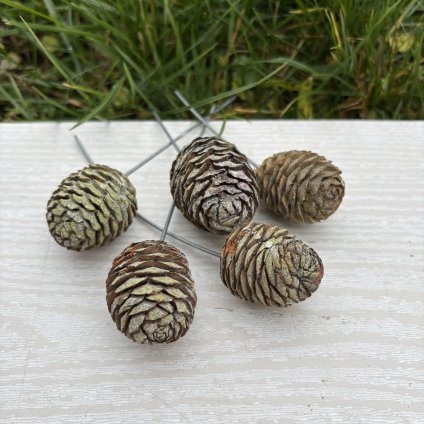 SORTIMENT ON WIRE FROSTED LIME TRAY