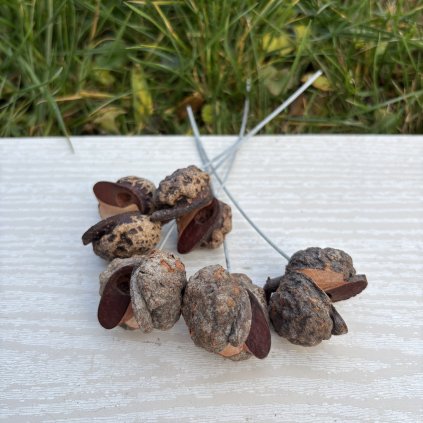 SORTIMENT ON WIRE NATURAL TRAY