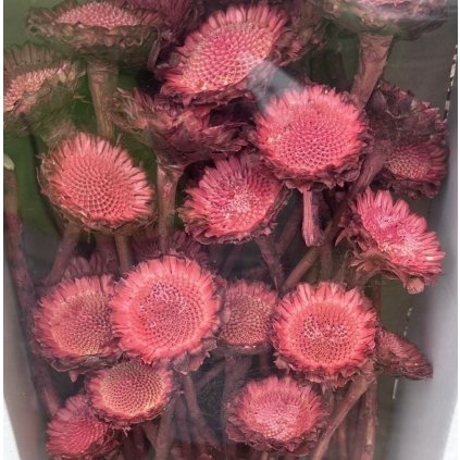 SUSANNAE ROSETTE DIP DYED APRICOT TRAY 2 ks