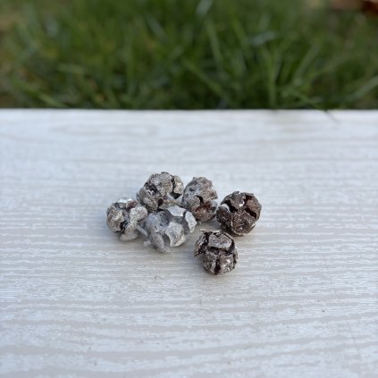 Šišky cypřiš mix (6 ks)