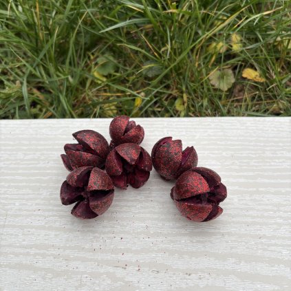 Dekorační plody cypřiš  6 kusů