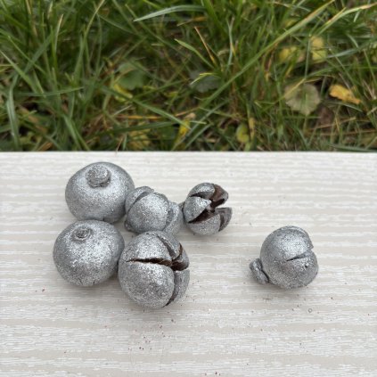 Dekorační plody cypřiš stříbrná 6 kusů