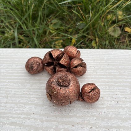 Dekorační plody cypřiš měděná 6 kusů