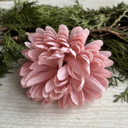 Květ (hlava) chryzantémy