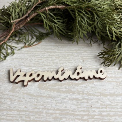 Výřez nápisu vzpomínáme 12x2cm