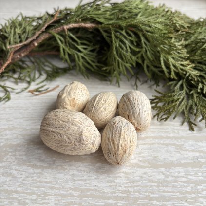 Dekorační ořechy ( Amra)