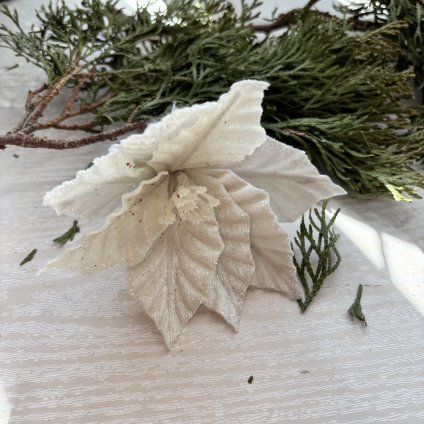 Vánoční hvězda/zápich