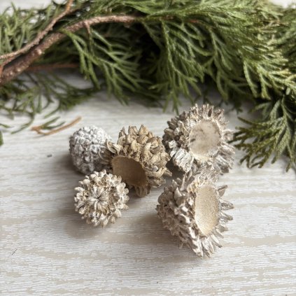 Eiken huls white wash 5ks - kód: VMX12