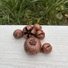 Dekorační plody cypřiš měděná 6 kusů