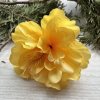 Květ Ibišku žlutý